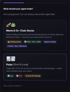 Autopilot setup: choose Meme and On-Chain Stocks or Perps (Short and Long)